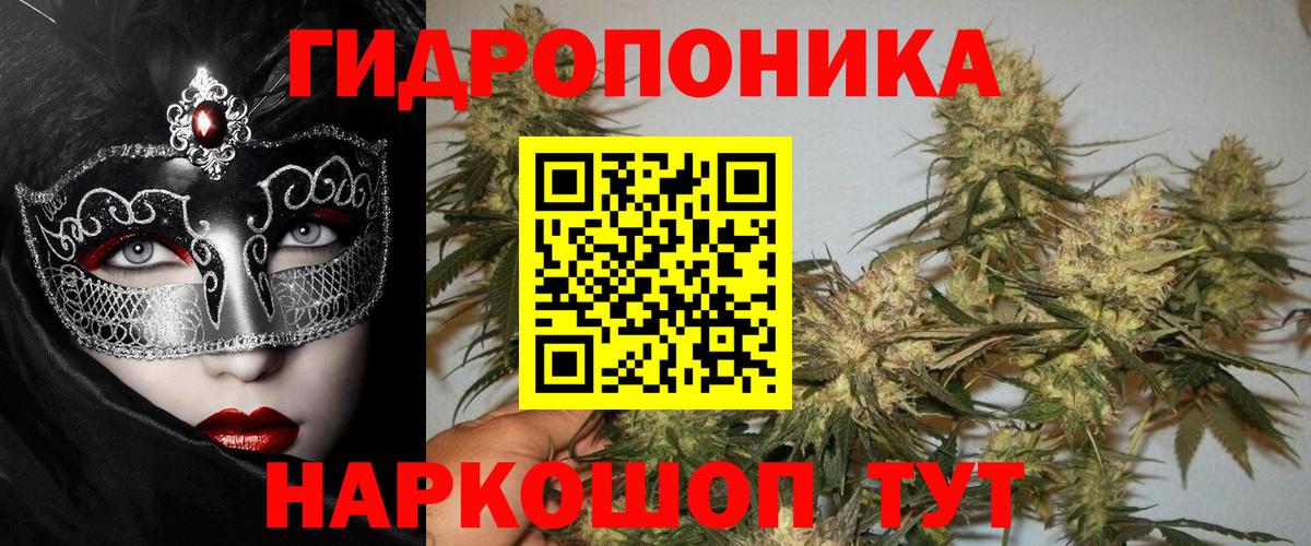 Кисловодск  Бошки Шишки ГИДРОПОН  Бошки Шишки семена  Вход с VPN  МАРИХУАНА Bruce Banner 